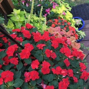 HUGE SALE. CLOSET CLEANOUT❤️❤️